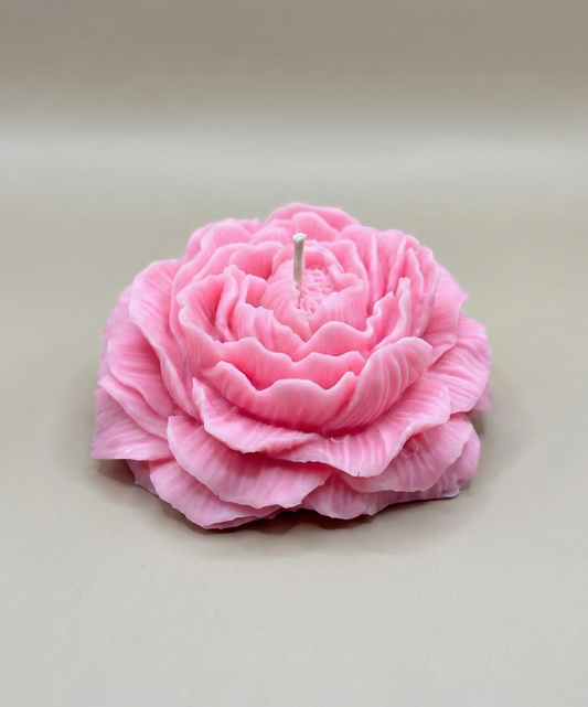 Peony Passion